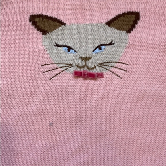 GYMBOREE Teacher's Pet pants and sweater - Picture 5 of 10